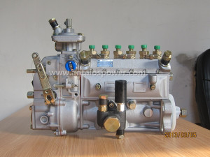 Fuel Injection Pump- Deutz Diesel Engine Bf6l913